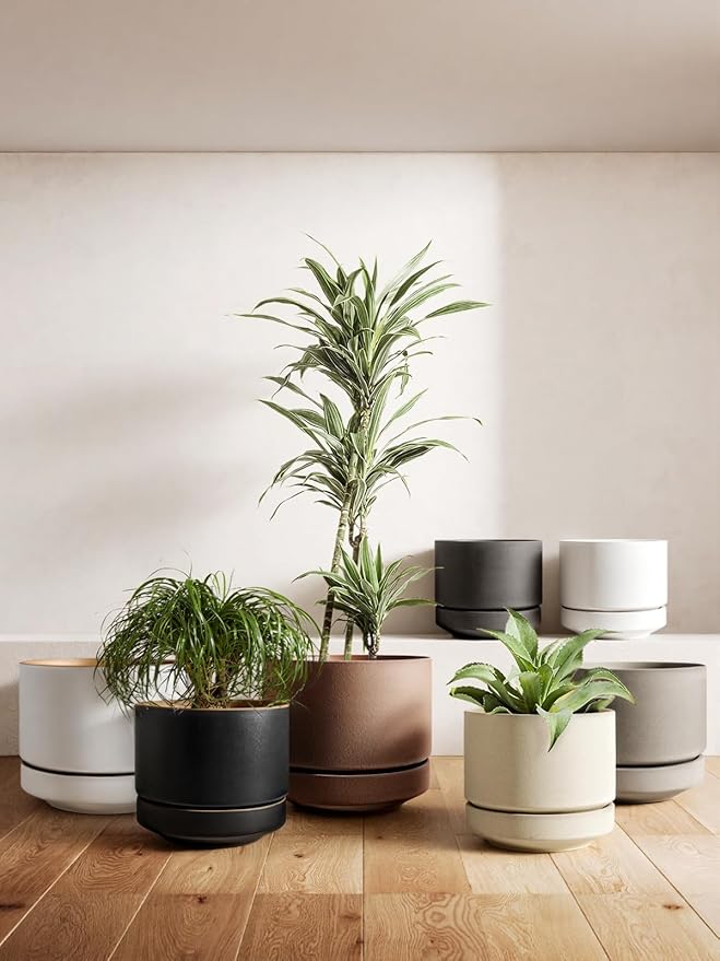 LE TAUCI 12 Inch Pots for Plants with Saucer, Ceramic Indoor Planter Pot for Plants with Drainage Hole, Mesh Pad & Plug Included, Unglazed Porous Ceramic, Modern for Home and Office, Speckled Oat