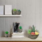 Succulents Plants Artificial Set of 5, Realistic Fake Succulents with Cement Like Pots for Home Office Decoration.