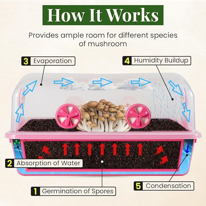 Premium Mushroom Monotub Grow Kit [XLarge, 68Q] Portable and Compact Fruiting Chamber with Plugs, Filters and Adjustable Air Vents, 22.8 x 15.7” x 12”, Pink