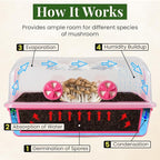 Premium Mushroom Monotub Grow Kit [XLarge, 68Q] Portable and Compact Fruiting Chamber with Plugs, Filters and Adjustable Air Vents, 22.8 x 15.7” x 12”, Pink