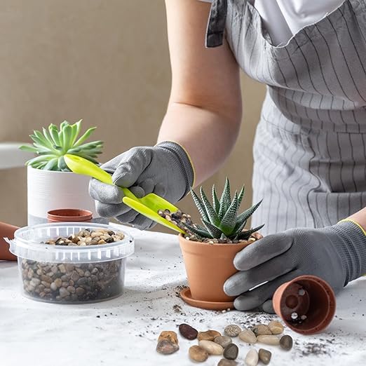 Pulovin 2.5 lbs Pebbles for Indoor Plants, Succulent, Bamboo, Vase, 3/8" Plant Rocks for Pots Indoor, Small River Rocks Decorative Pea Gravel, Highly Polished
