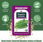 Romaine Seed Pods Kit for Hydroponics, 12 Pods Grow Anything Kit for Indoor Hydroponics Growing System, Hydroponics Supplies with 12 Grow Sponges, 12 Plant Baskets, 12 Pod Domes and Labels