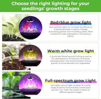 Seed Starter Tray with Grow Light, 6pcs Seed Starter Kits with Light and Humidity Domes, Timing Controller & Adjustable Brightness & 3 Light Mode, Indoor Seedling Starter Plant Germination Trays