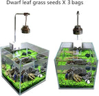 Aquarium G-r-a-s-s P-l-a-n-t - 3 Pack | Easy-Growing Water P-l-a-n-t for Fish Tank Aquarium