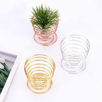 6 PCS Geometric Air Plant Holder Airplants Rack Metal Plants Stand, Airplant Stand Container Tillandsia Stainless Steel Display Racks, Wire Metal Plants Stand Planter Shelves
