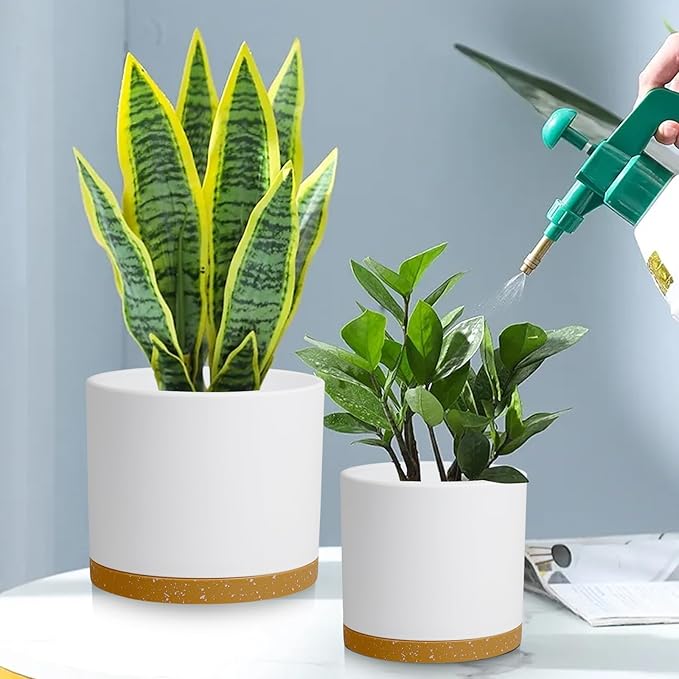 Large Plant Pots Set of 3 – 8", 9", 10" Indoor Flower Pots with Drainage Holes and Saucers, Big Planters for Monstera, Fiddle Leaf Fig, Snake Plant – 5 Colors