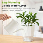 6 Pack Self Watering Pots for Indoor Plants, 5 Inches Self Watering Planters Small African Violet Self Watering Clear Pots for Plants Herb Orchid Flower Houseplant Pots, White