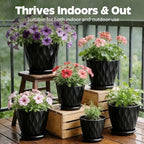 Plant Pots, Self Watering Planters with Drainage Holes and Trays, Flower Pots for Indoor Outdoor - 6 Pack(4/5/6/6.5/7/8 Inch) (Black)