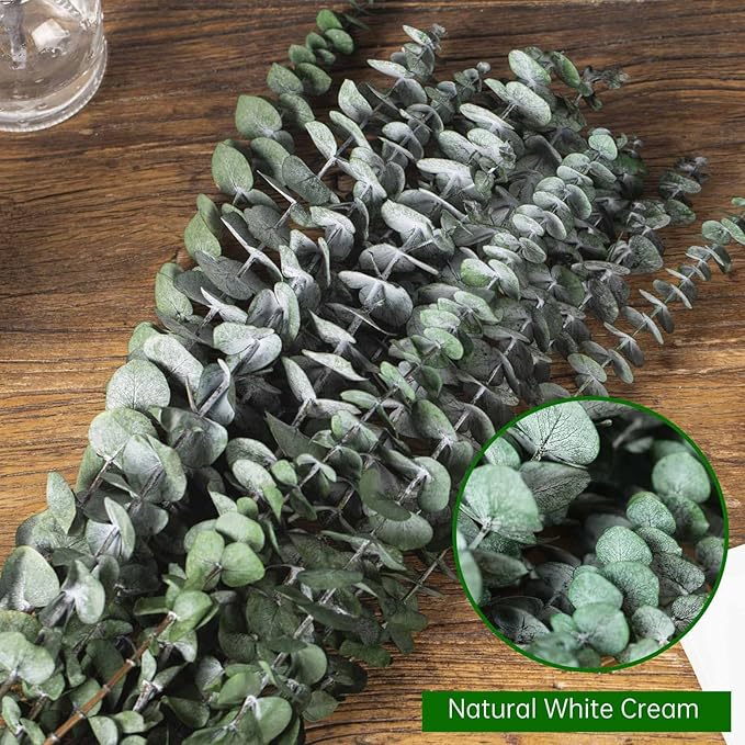 Tavkite 16 Pcs Dried Eucalyptus Stems, 17'' Natural Fresh Eucalyptus Leaves Branches Hanging for Shower, Preserved Real Plant Live Greenery for Home SPA Wall Bathroom Wedding Party Vase Decor