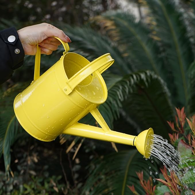 Topadorn Watering Can for Plants, 55 Oz Metal Watering Can with Removable Spout for Indoor & Outdoor Plants, Long Spout Garden Watering Can, Yellow