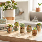 T4U 2.5 Inch Owl Ceramic Succulent Planter Pots with Drainage Hole Set of 12, Mini Cactus Pots Tiny Cute Plant Holder Container Best for Home Office Decor Gardening Gift