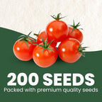 Cherry Tomato – 200 Premium Seeds for Planting – Sweet, Prolific, High-Yielding Heirloom for the 2026 Season – 600-Milligram Pouch