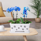 10 * 4.3 * 4.3Inch Rectangle Ceramic Orchid Pot with Holes & Saucer White Effective Drainage & Ventilation for Indoor Orchids ﻿