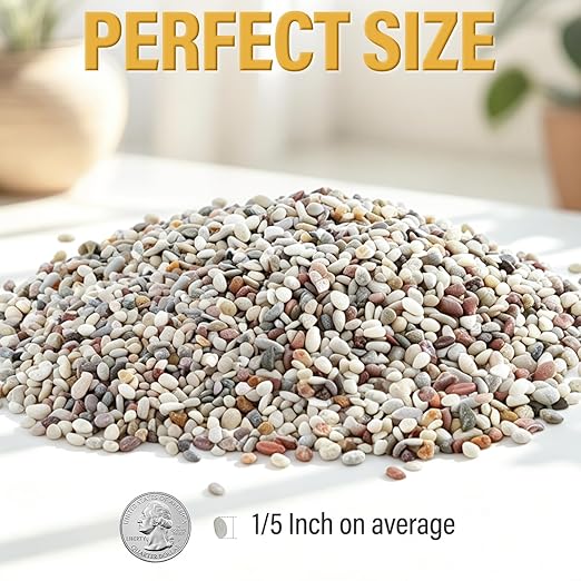 18lb Succulent and Cactus Gravel Pebbles, 1/5 Inch Mixed Color Natural Rocks for Fish Tank, Indoor Plants, Aquarium, Vases, Landscaping
