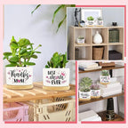 Tarklanda 3Pcs Gifts for Mom Best Mom Ever Succulent Pots Mini Ceramic Plant Pots with Bamboo Tray Pot Planters Birthday Thanksgiving for Mother-in-Law Wife Plants Not Included