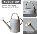Metal Watering Can for Outdoor and Indoor Plants, Watering Can Decor, 1 Gallon (Zinc Stainless Steel Handle)