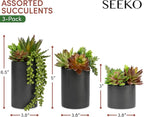 Fake Succulents Plants Artificial in Premium Ceramic Pots (3 Pack Assorted) Realistic Faux Succulents for Bathroom, Home & Office Decor