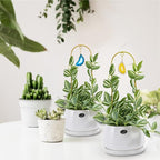 2PCS Small Gold Trellis for Climbing Plants Indoor, Mini Metal Houseplant Climber Support for Potted Plants, Boho Decorative Pot Lattice with Agate for Hoya, Pothos, Ivy, Philodendron