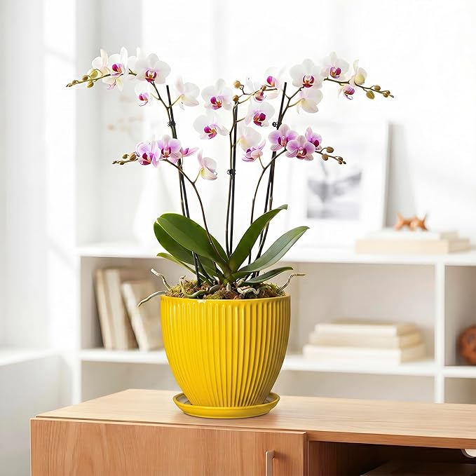 8 Inch Pots for Plants, Ceramic Plant Pots for Indoor Plants, Round Ceramic Planter with Drainage Hole and Saucer, Modern Decorative Plant Pot, Home Kitchen Decor, Women Men Gifts, Yellow