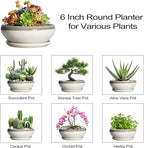 SQOWL Succulent Planters - 6 Inch Ceramic Bonsai Pots, Shallow Planter with Drainage Hole and Saucer, Round Planter for Indoor Outdoor, Cactus Succulent Pots, Desk Decor, Garden Gifts, Gray-Beige