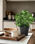 Coferset Small Fake Plants Mint Artificial Potted Plants for Home Office Bathroom Shelf Farmhouse Coffee Table Decor (Green)