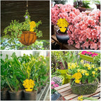 58 Pack Flying Insect Traps for Plants – Yellow Sticky Traps for Fungus Gnats, Flies & Flying Bugs, Indoor Outdoor Flying Bug Catcher for Pots, Garden & Kitchen, Non-Toxic, Odorless, Kid & Pet Safe