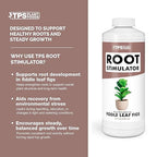 Root Stimulator for Fiddle Leaf Fig – Liquid Root Supplement with Kelp & Probiotics for Stronger Roots & Better Leaf Growth, 8 oz