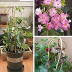 Cambaverd Natural Bamboo Plant Trellis U-Hoop 4 Feet Arch Bamboo Garden Trellis Support for Climbing Plants Outdoor Vines Ivy Plants Climbing Flowers Plant Tower - Pack of 3 Hoops