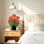 Briful 15.7in Artificial Geranium Plant in Black Pot, Orange Faux Potted Flowers, Real Touch Geraniums for Indoor Outdoor Decor, Table Centerpiece Farmhouse Home, Office, Porch & Living Room Decor
