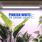 Barrina 2FT T8 Grow Light, 144W(6 x 24W), 800W Equivalent, Full Spectrum, Sunlight Plant Light, LED Grow Light Bulbs, for Indoor Plant Growing, with V-Shaped Reflector, Pinkish White, 6-Pack