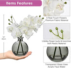 Oairse White Orchids Artificial Flowers Faux Orchid Arrangement with Black Glass Vase Set of 2 Real Touch Phalaenopsis Orchid Flowers Orchid Centerpiece for Dining Room Table