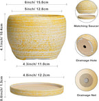 SQOWL Ceramic Planter - 6 Inch Plant Pot Indoor with Drainage Hole and Saucer, Decorative Ceramic Flower Pot Outdoor, Round Succulent Planters, Home Office Bedroom Decor, Birthday Gifts, Yellow