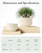 Succulent Pots, 8 Inch + 6 Inch Plant Pots for Plants with Drainage Hole, Indoor Outdoor Ceramic Planter, Set of 2 Round Flower Pots for Succulent and Plants, Beige