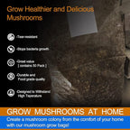 50Pcs Mushroom Growing Bag 6 Mil Thick Mushroom Spawn Bags Autoclavable Bags 8"x5"x20" Mushroom Grow Kit 0.2 Micron Filter Mycobag Grow Kit Tear Resistant Strong