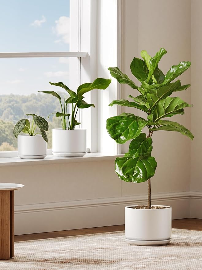 Ceramic Pots for Plants, 10 Inch Plant Pot with Drainage Hole & Saucer, Sturdy & Modern Planters for Indoor Plants, Includes Mesh Screen, Fits Snake Plant & Monstera, White