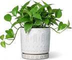 Ceramic Planter, 6 Inch Pot for Plants with Drainage Holes and Tray, Round Plant Pots for Indoor Outdoor Plants, Boho Decorative Flower Pots, Home Room Decor, Gifts for Women, White