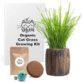 Cat Grass for Indoor Cats Kit – Best Value Organic Seed & Soil for 4 Plantings, Includes Cat Toy Gift & Hairball Remedy (Wicker Brown)