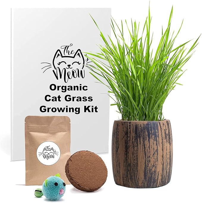 Cat Grass for Indoor Cats Kit – Best Value Organic Seed & Soil for 4 Plantings, Includes Cat Toy Gift & Hairball Remedy (Wicker Brown)