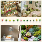 12 Pcs Mini Artificial Succulents Plants, Small Fake Potted Realistic Textured Succulent Premium Decor for DIY Crafting Home Floral Wall Garden Arrangement Office Decoration