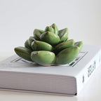 Ceramic Succulent Flowers Table Top with Stable Base, 3D Handmade Tablescape Decorative (Green 2)