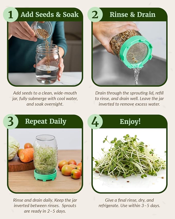 Elementi Sprouting Lids for Wide Mouth Mason Jars (Set of 2), Sprouting Jar Kit for Organic Sprouts, Alfalfa & Mung Bean Sprouts Grow Kit, 316 Stainless Steel Mesh Screen Strainer Lid (Mint)
