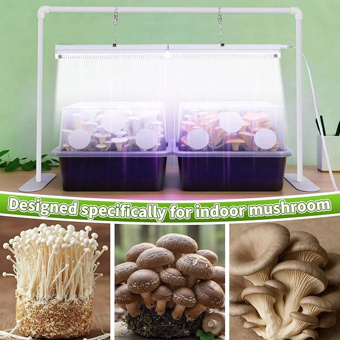Meonum Mushroom Growing Light Stand, LED Mushroom Grow Light Dual Spectrum 6000K 5000K, 2ft White Blue Grow Lamp, for 10-50 Most Quart Monotub, Easy Assembly, Energy Efficient, Optimal for Cultivation