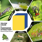Qualirey 100 Pcs 6 x 8 Inch Sticky Traps for Plant Double Sided Sticky Trap for Gnats with Twist Ties Fly Traps for Fruit Insect Fungus Bugs Indoor Outdoor (Yellow,Blue)