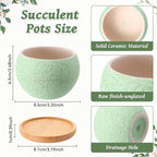 Thenshop 12 Pcs Small Succulent Pots Set with Drainage 3 Inch Plant Pots Ceramic Succulent Planters with Bamboo Saucers 6 Colors Small Planters for Cactus, Herbs, Mini Plants