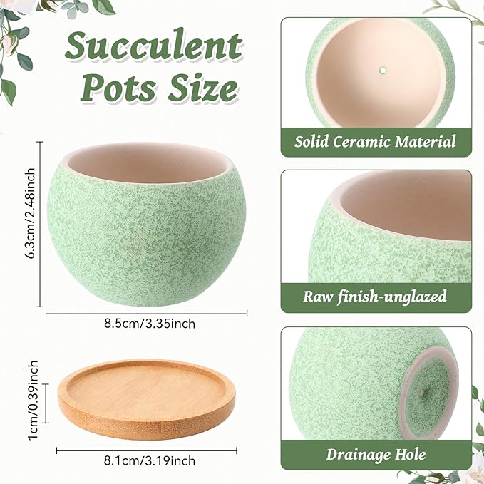 Thenshop 12 Pcs Small Succulent Pots Set with Drainage 3 Inch Plant Pots Ceramic Succulent Planters with Bamboo Saucers 6 Colors Small Planters for Cactus, Herbs, Mini Plants