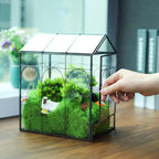 HighFree Geometric Plant Terrarium with Lid, House Succulent Terrarium Kit for Succulents Cacti Snail, Home Tabletop Miniature Terrarium (Black with Side Door)