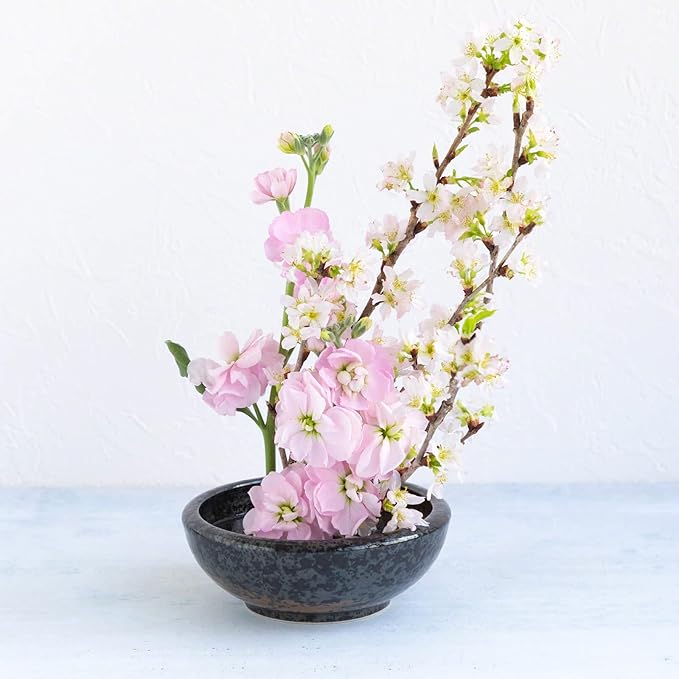 Wazakura Minoyaki Series Japanese Ikebana Essential Tool Kit with Small Round Ceramic Flower Vase and Kenzan Pin Frog for Floral Arranging - Black Vase + 2in (61mm) Black Kenzan