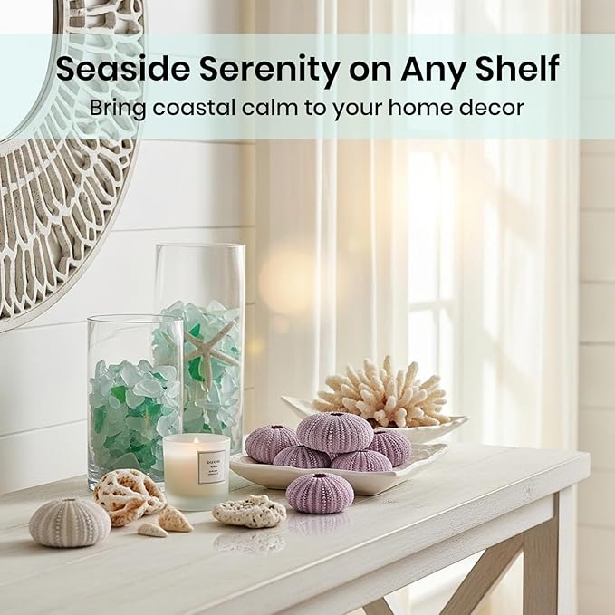 Nautical Crush Trading Sea Urchins Shells for Air Plants - 8 Purple (1.5-2.5") Sea Urchin Shells - Hanging Air Plant Holder - Air Plants Live Holders - Air Plant Pot - No Plants Included