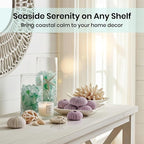 Nautical Crush Trading Sea Urchins Shells for Air Plants - 8 Purple (1.5-2.5") Sea Urchin Shells - Hanging Air Plant Holder - Air Plants Live Holders - Air Plant Pot - No Plants Included
