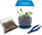 Venus Fly Trap Live Plant with 4.5" Blue Terrarium + Carnivorous Plants Food Bundle with Feeding Tweezers - Carnivorous Plant Soil and Live Venus Flytrap